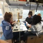 MG19_Akt_Lumbricus 2