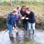 MG19_Akt_Lumbricus 5