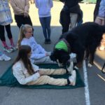 Hund (3)