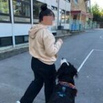 Hund (5)