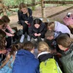 Wanderung (37)