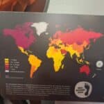 1000038008