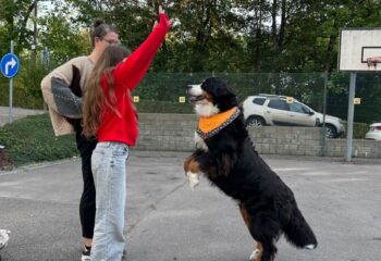 Bild 7 Bild 7